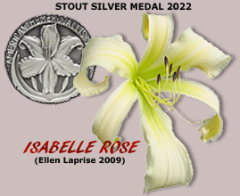 Stout Silver Medal Winner 2021