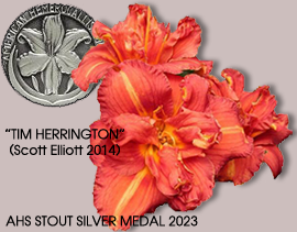 Stout Silver Medal Winner 2023