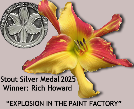 Stout Silver Medal Winner 2025