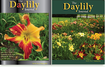 sample photo of 2 ADS Journals